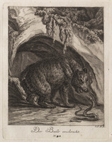 KG 01075
          <br/>
          Entwurf einiger Thiere. Dritter Theil. (18 bladen)
          <br/>
          <em>Ridinger, Johann Elias (1698-1767)</em>